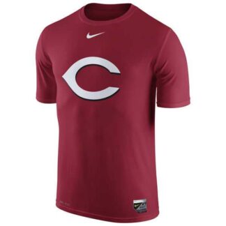Cincinnati Reds Nike Collection Legend Logo 1.5 Performance WEM T-Shirt - Red