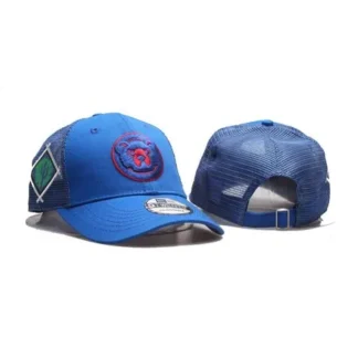 Chicago Cubs Adjustable Hat ACUQ