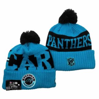 Carolina Panthers Team Logo Knit Hat YD (15)