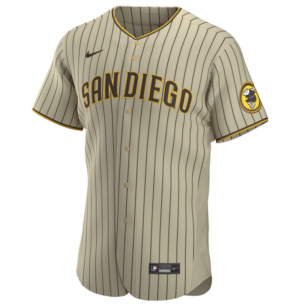 Fernando Tatís Jr. San Diego Padres Nike Alternate Authentic Player Jersey - Tan/Brown - Image 2