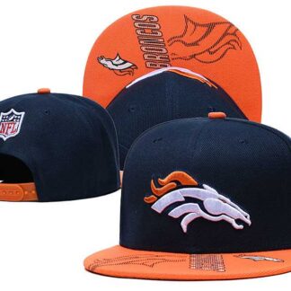 Denver Broncos Team Logo Adjustable Hat GS (1)