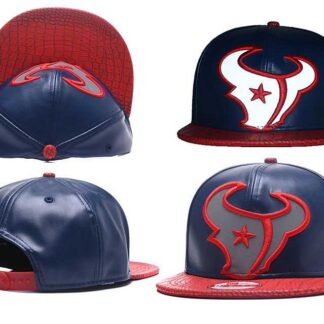Houston Texans Team Logo Adjustable Hat GS (4)